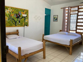 Hotel Mono Loco